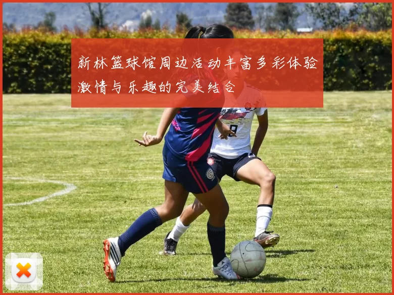 新林篮球馆周边活动丰富多彩体验激情与乐趣的完美结合