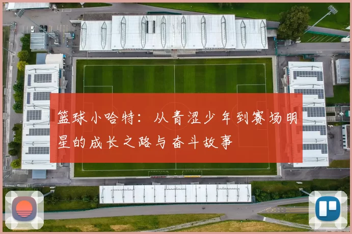 篮球小哈特：从青涩少年到赛场明星的成长之路与奋斗故事