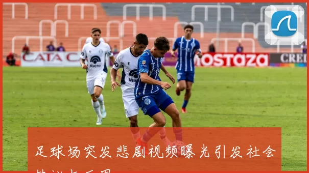 足球场突发悲剧视频曝光引发社会热议与反思