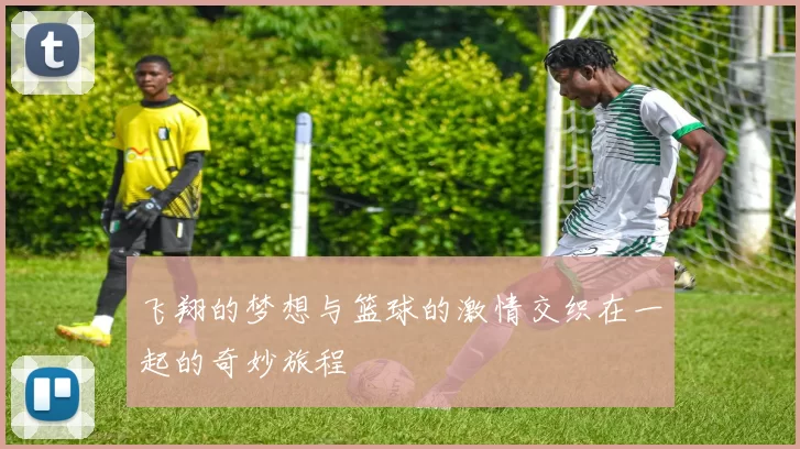 飞翔的梦想与篮球的激情交织在一起的奇妙旅程
